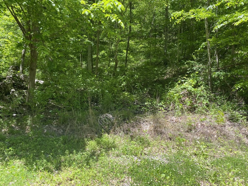 0 Little Pond Creek Rd, Pegram, TN 37143