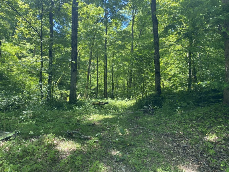 0 Little Pond Creek Rd, Pegram, TN 37143