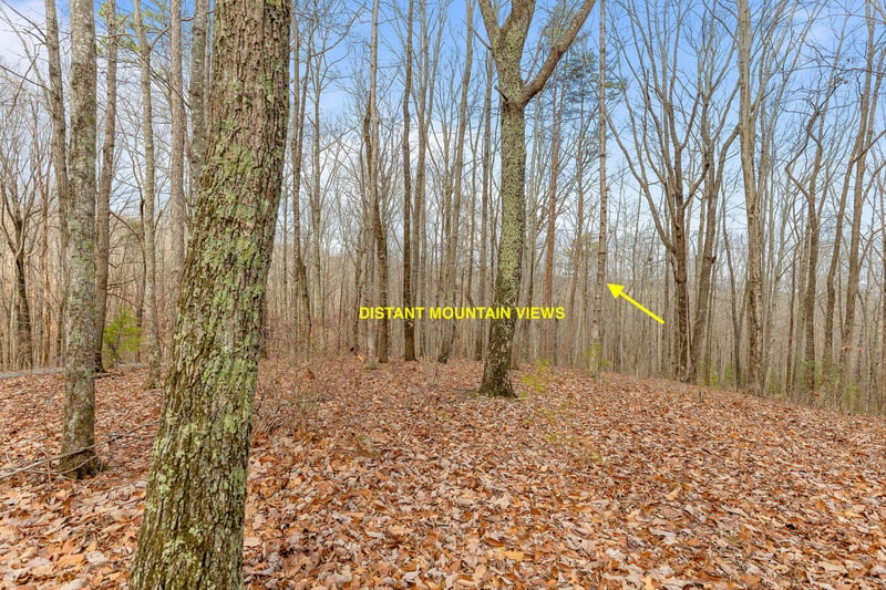 0 Lookout Crest Ln Lot 1, Lookout Mountain, GA 30750