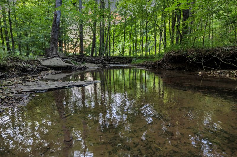 0 Smiley Hollow Rd, Goodlettsville, TN 37072