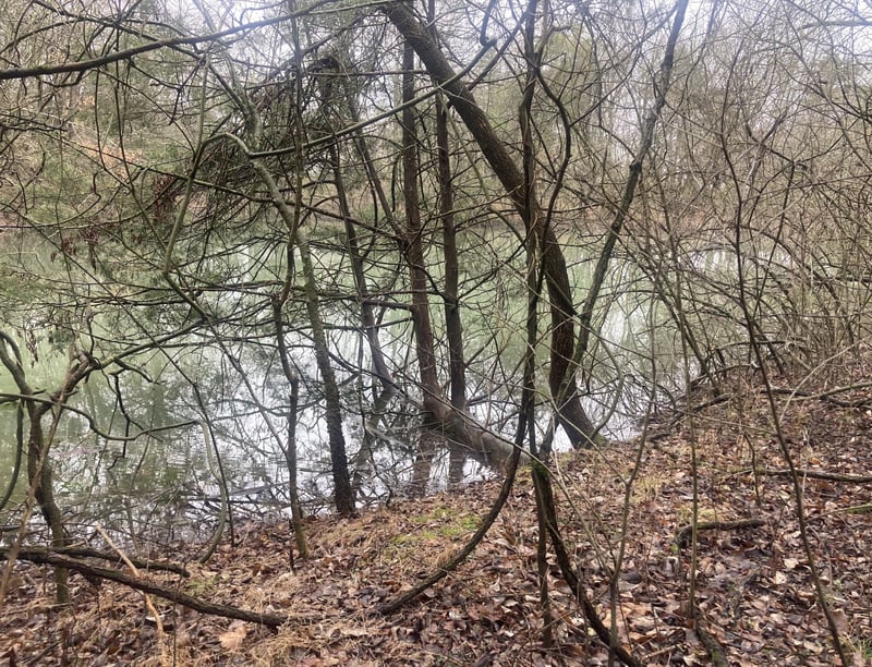 0 Taliaferro Rd, Eagleville, TN 37060