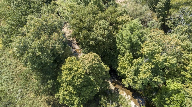 2762 Critz Ln, Thompsons Station, TN 37179