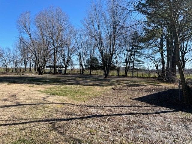 280 Greenfield Ln, Castalian Springs, TN 37031