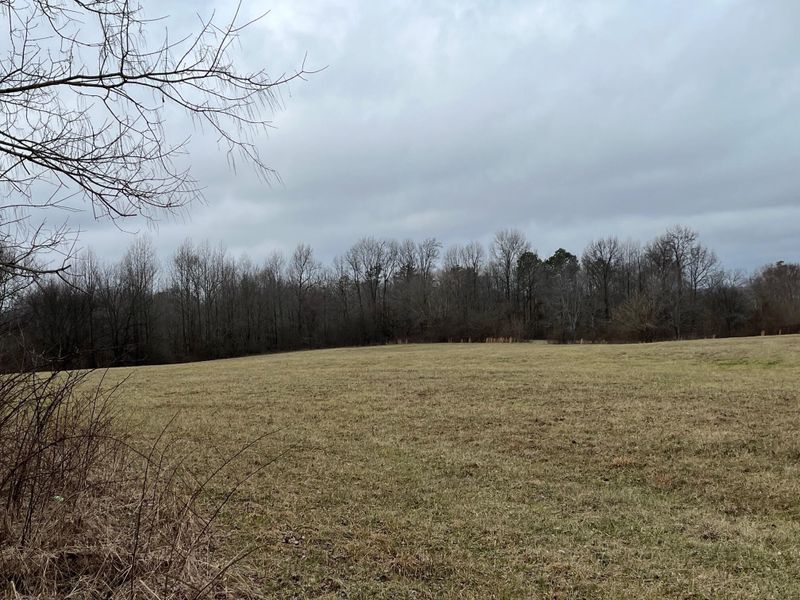 4830 County Road 141, Ider, AL 35981