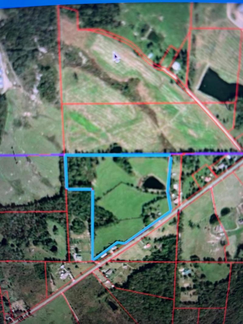 4830 County Road 141, Ider, AL 35981