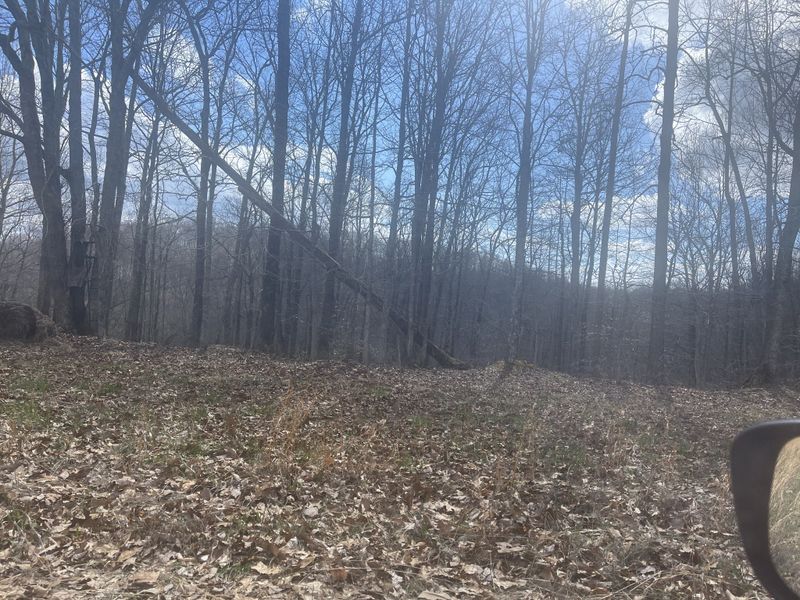 0 Mount Vernon Rd, Bethpage, TN 37022