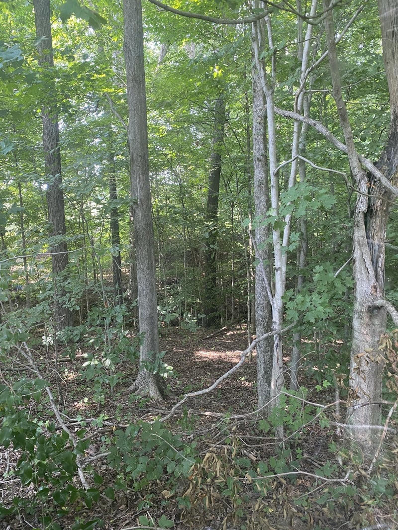 0 Floyd Gregory Rd, Westmoreland, TN 37186