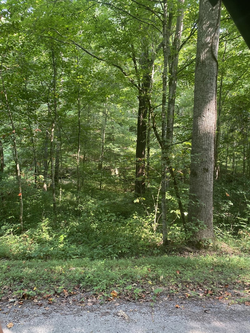 0 Floyd Gregory Rd, Westmoreland, TN 37186