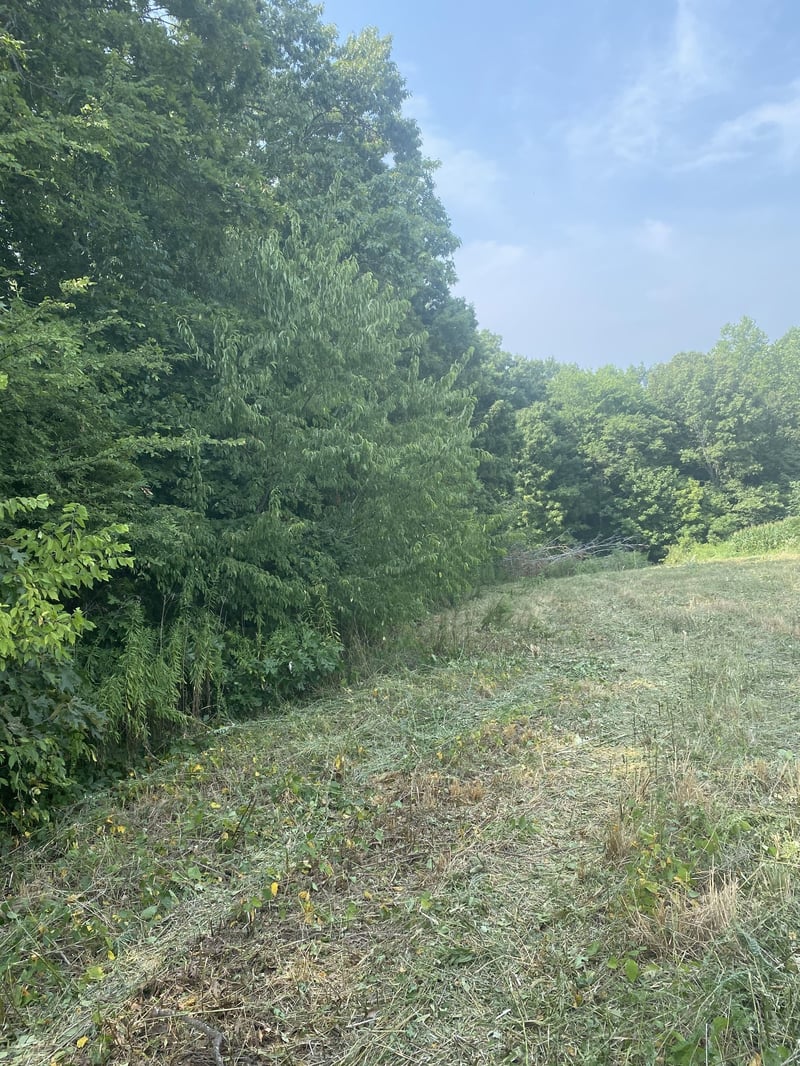 0 Floyd Gregory Rd, Westmoreland, TN 37186