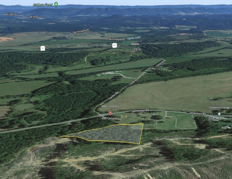 0 Ami Cemetery Rd, Menlo, GA 30731