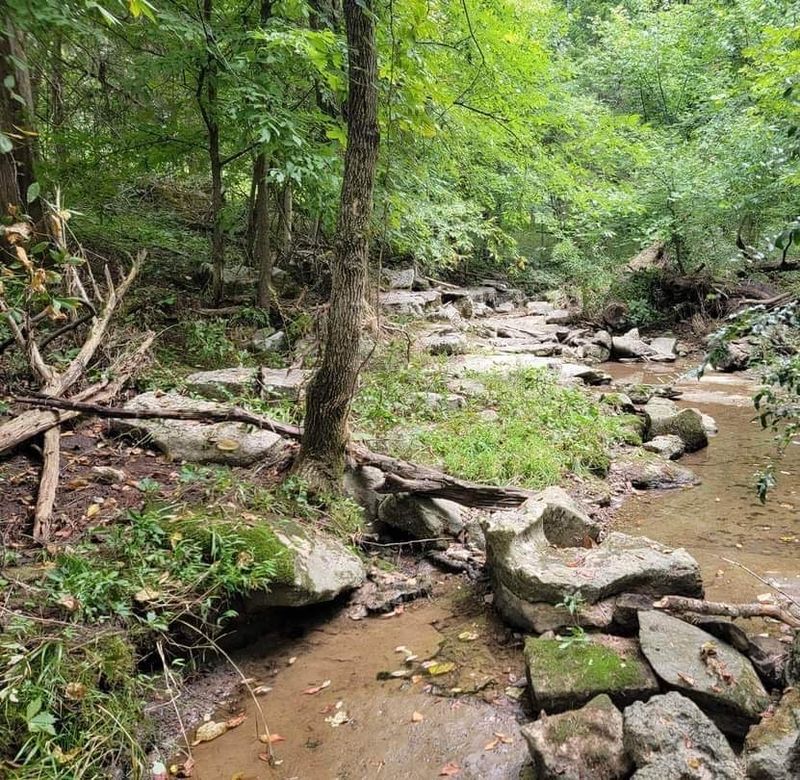 1 Versailles Rd, Rockvale, TN 37153