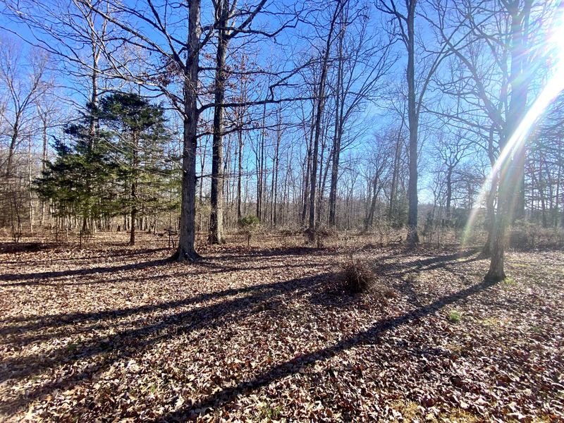 769 Nancy Shawl Rd, Dickson, TN 37055