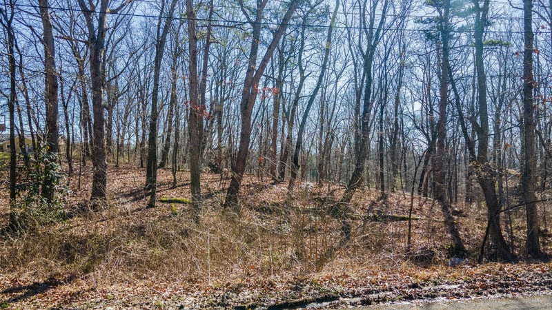139 Whitt, Lookout Mountain, GA 30750