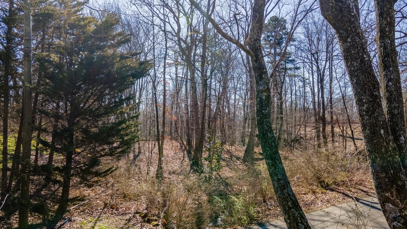 139 Whitt, Lookout Mountain, GA 30750
