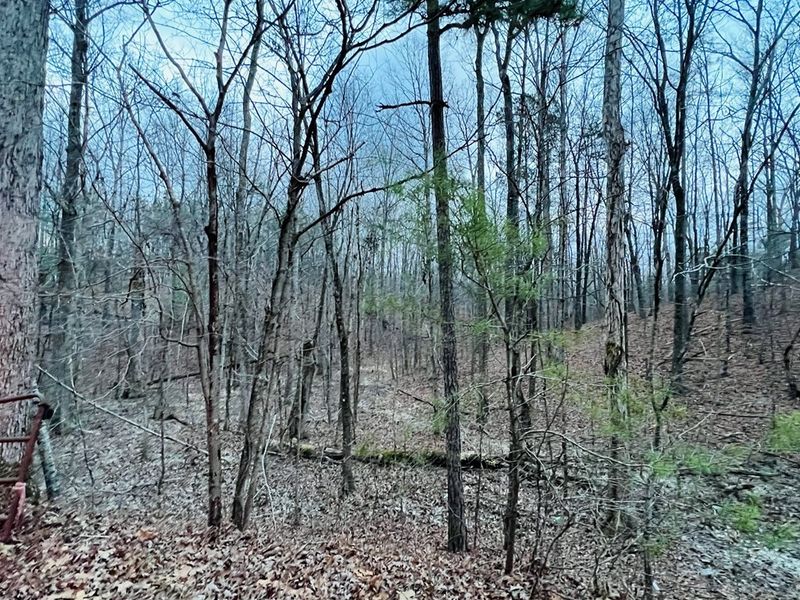 870 Sugar Hollow Rd, Chatsworth, GA 30705