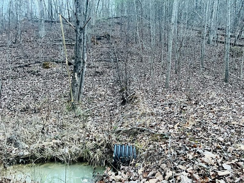 870 Sugar Hollow Rd, Chatsworth, GA 30705