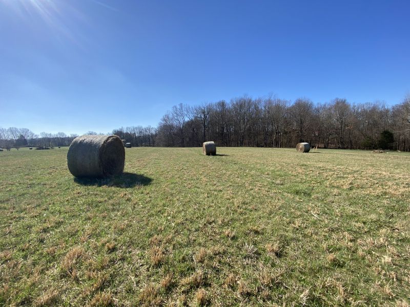 7B Ashburn, Springfield, TN 37172