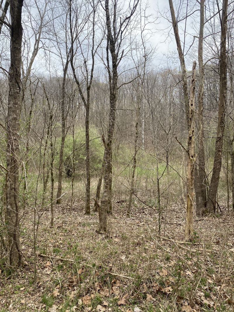 0 Fox Branch, Franklin, TN 37064