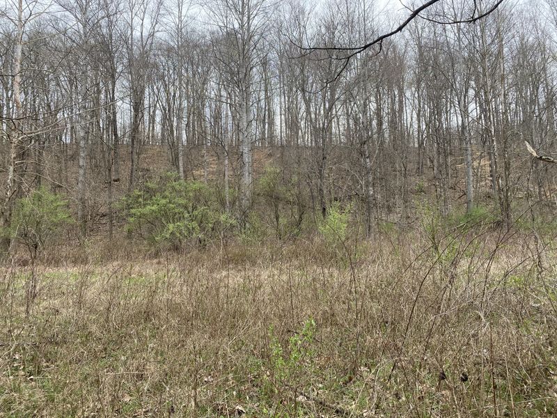 0 Fox Branch, Franklin, TN 37064