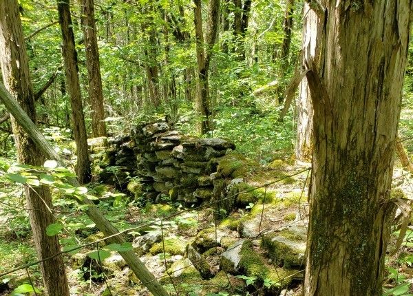 0 Friendship Hollow Rd S, Pleasant Shade, TN 37145
