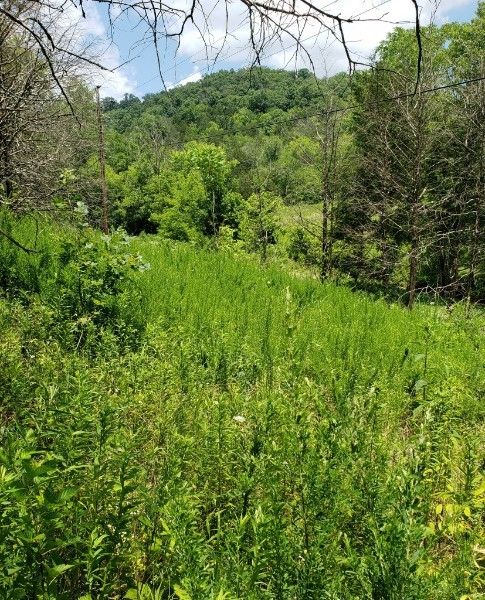 0 Friendship Hollow Rd S, Pleasant Shade, TN 37145