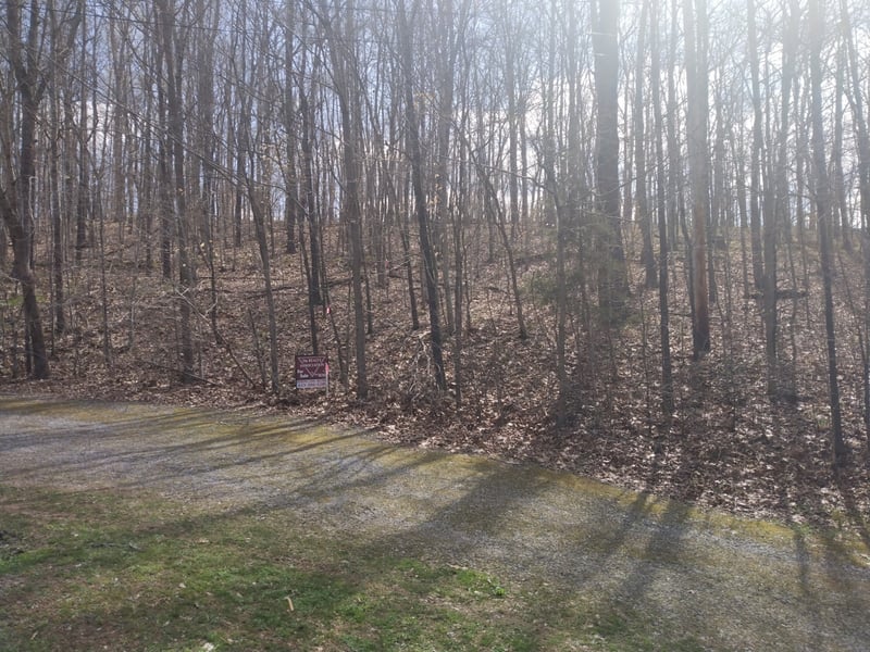 0 Marshall Woodard Rd, Pegram, TN 37143