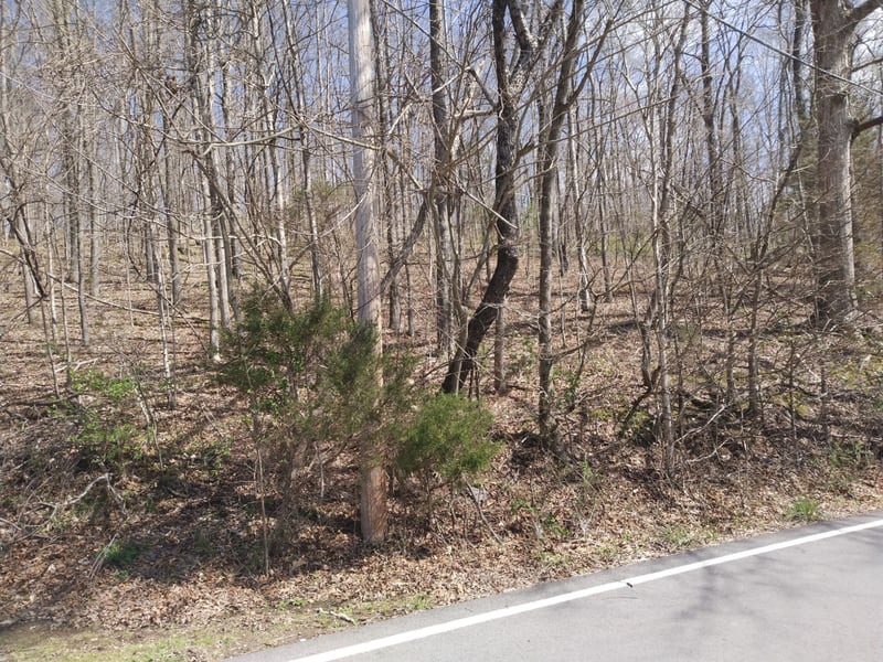 0 Marshall Woodard Rd, Pegram, TN 37143