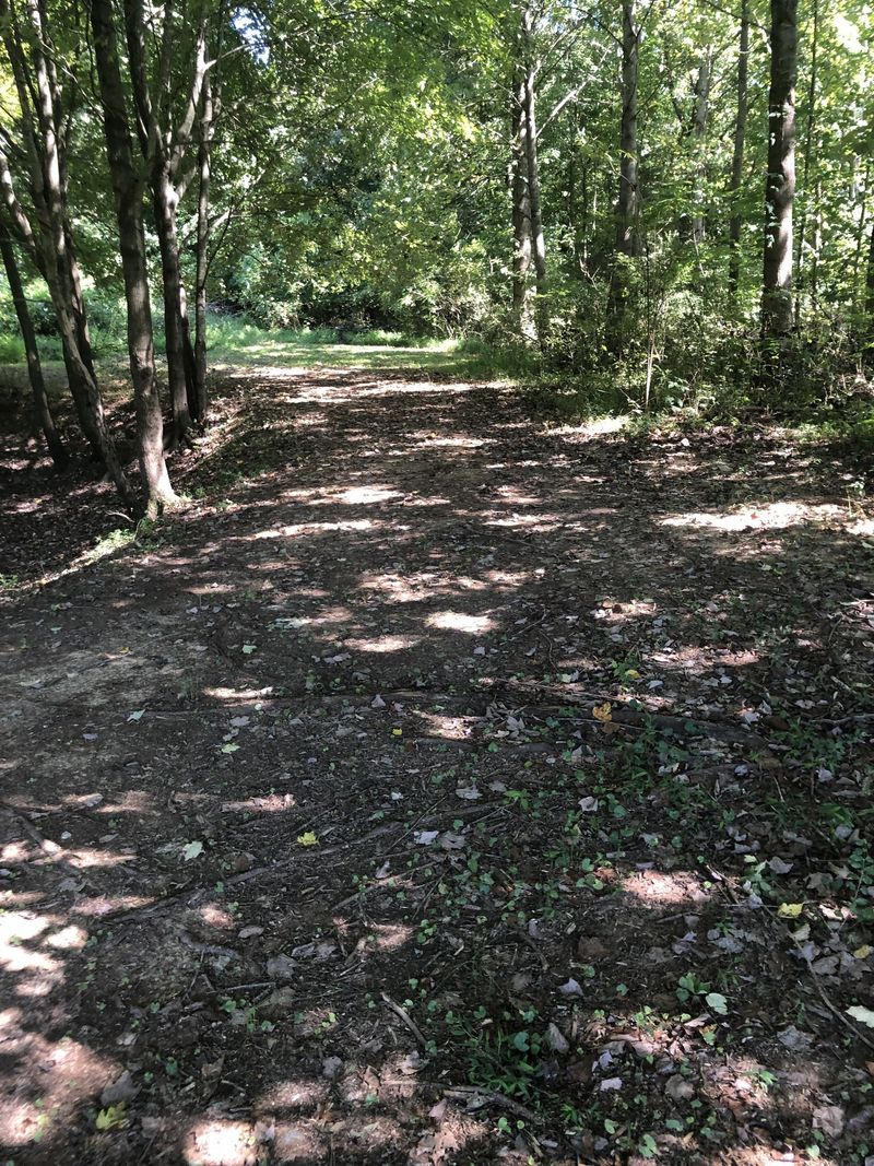 1084 Minor Ln, Bethpage, TN 37022