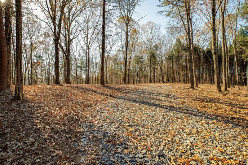 0 Dug Hill Rd, Bon Aqua, TN 37025