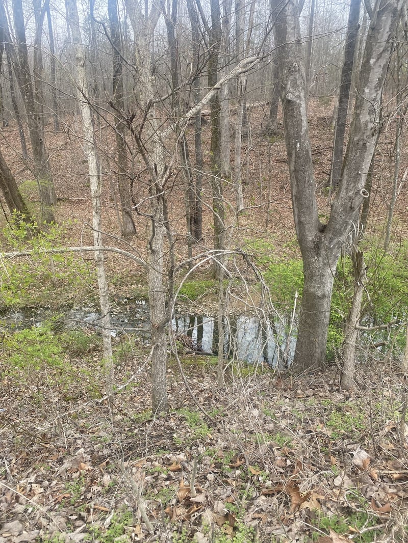 0 Highway 96 N, Fairview, TN 37062