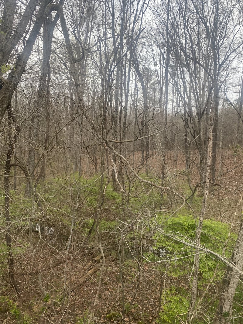 0 Highway 96 N, Fairview, TN 37062