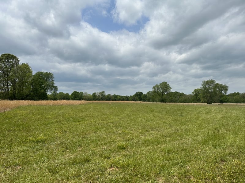 2285 Hurricane Creek Rd, Lebanon, TN 37090