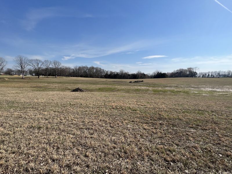 0 Gaines Hill Rd, Westmoreland, TN 37186