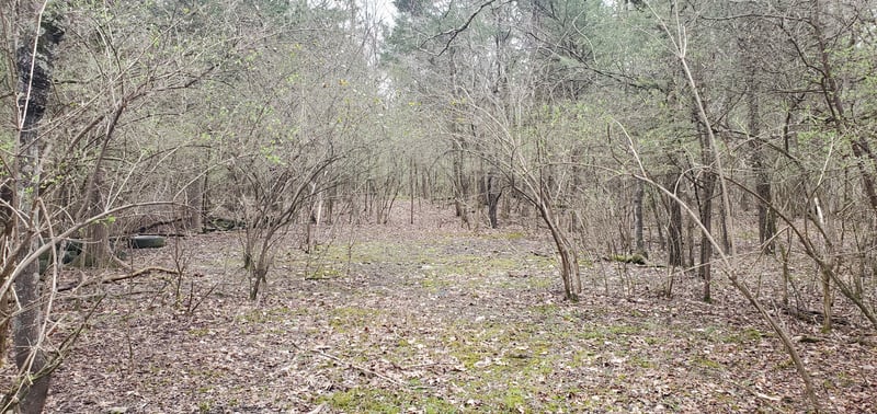 0 Saundersville Rd, Mount Juliet, TN 37122