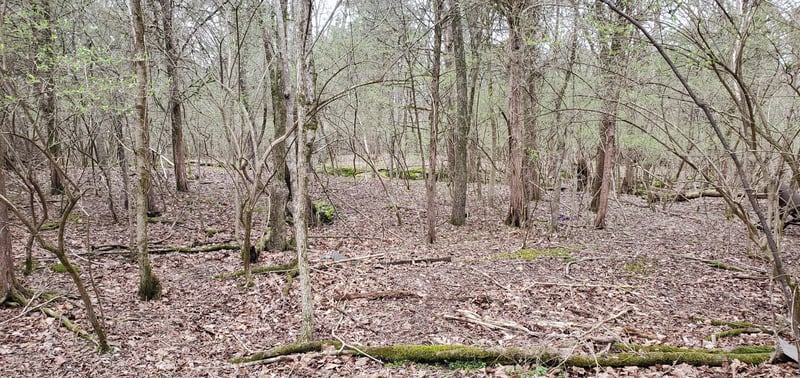 0 Saundersville Rd, Mount Juliet, TN 37122