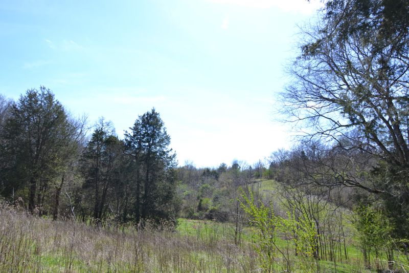 2706 E Sheepneck Rd, Culleoka, TN 38451