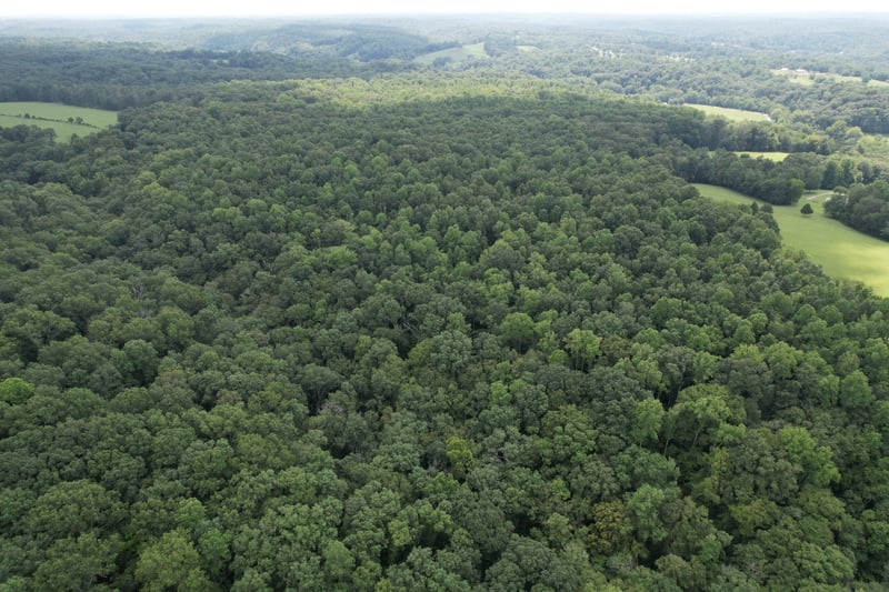 0 Oscar Green Rd, Franklin, TN 37064