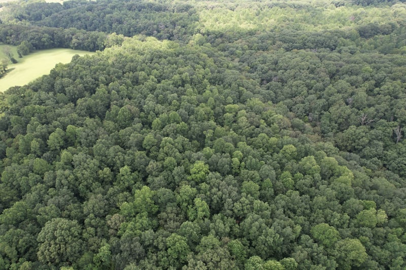 0 Oscar Green Rd, Franklin, TN 37064