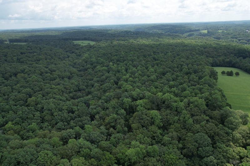 0 Oscar Green Rd, Franklin, TN 37064
