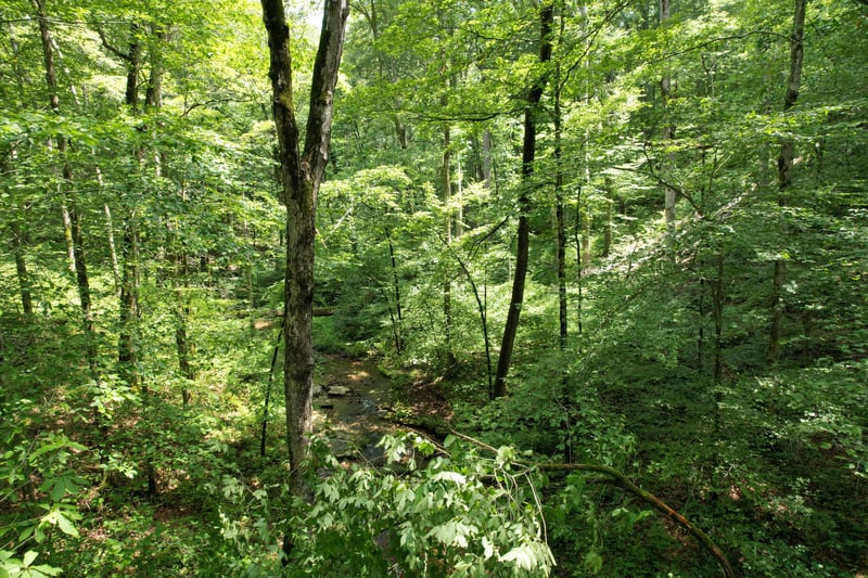 0 Oscar Green Rd, Franklin, TN 37064