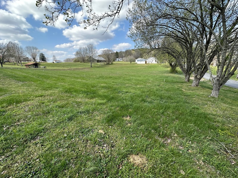 0 Stanton Ave, Gordonsville, TN 38563