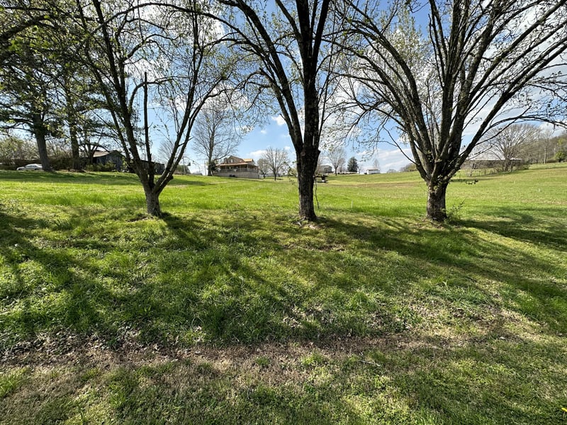 0 Stanton Ave, Gordonsville, TN 38563