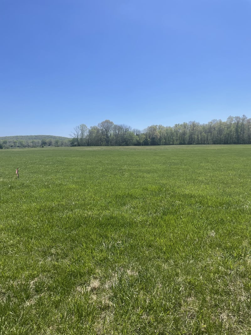1 Rock Springs Midland Rd, Christiana, TN 37037