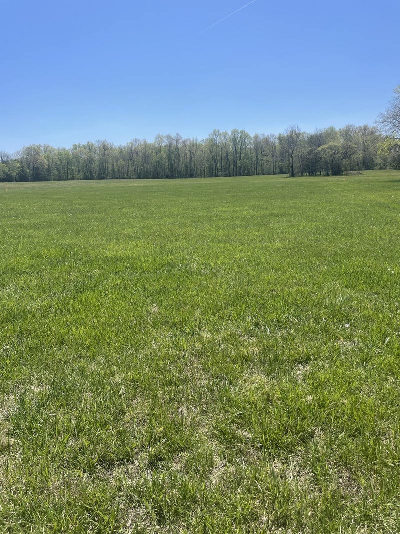 1 Rock Springs Midland Rd, Christiana, TN 37037