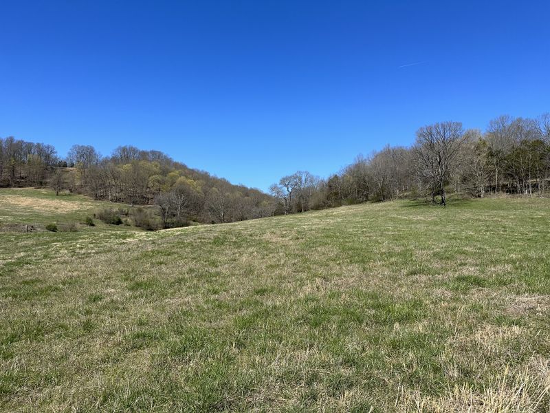 2 Collier Ln, Gallatin, TN 37066