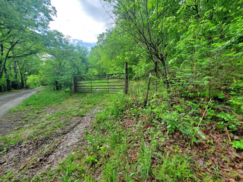 0 Potter Ln E, Alexandria, TN 37012
