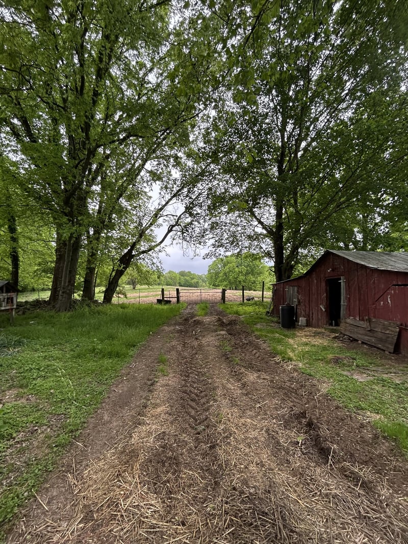 2102 Dowell Branch Rd, Columbia, TN 38401