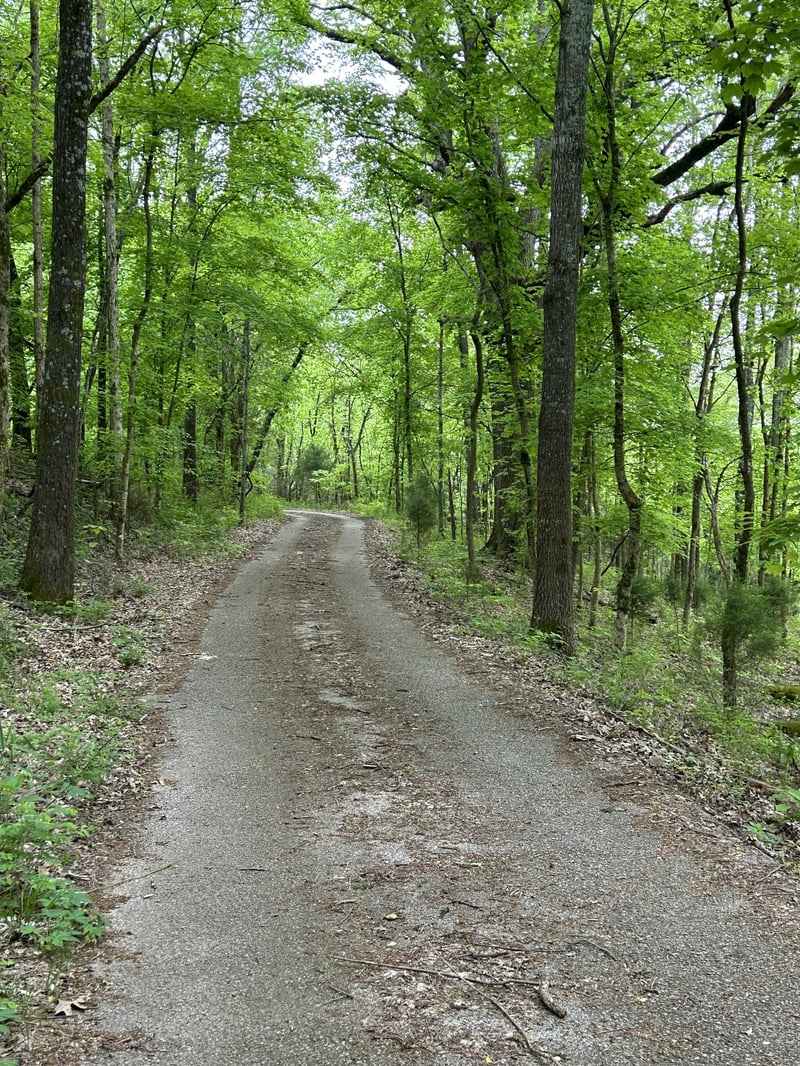 2102 Dowell Branch Rd, Columbia, TN 38401
