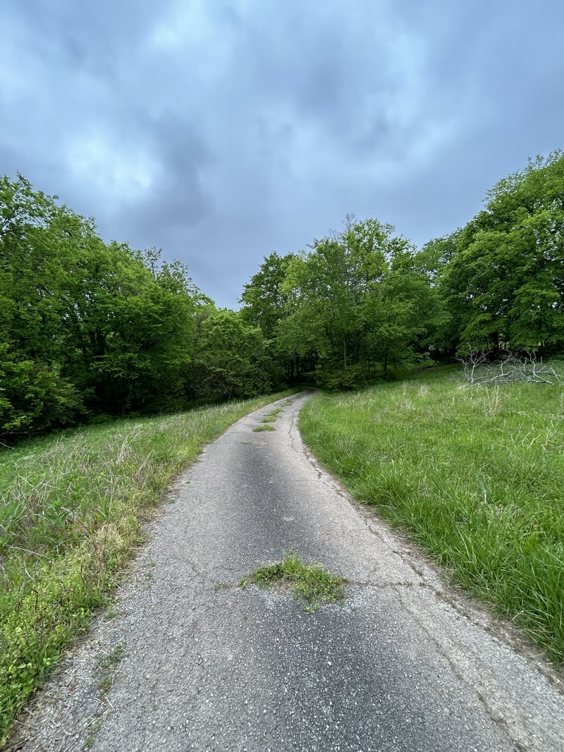 2102 Dowell Branch Rd, Columbia, TN 38401