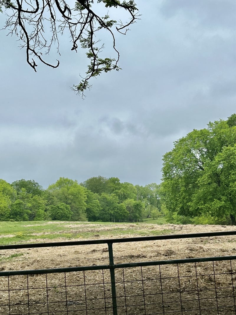 2102 Dowell Branch Rd, Columbia, TN 38401